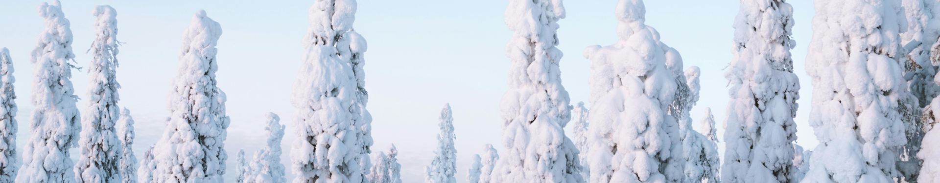 Banner Lapponia Controtendenza 