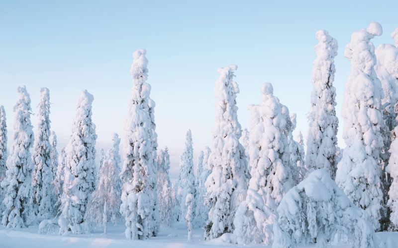 Lapponia Controtendenza 