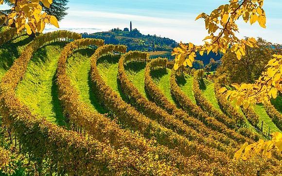 IL FOLIAGE NELLE COLLINE DEL PROSECCO DALL'1 AL 3 NOVEMBRE 2026