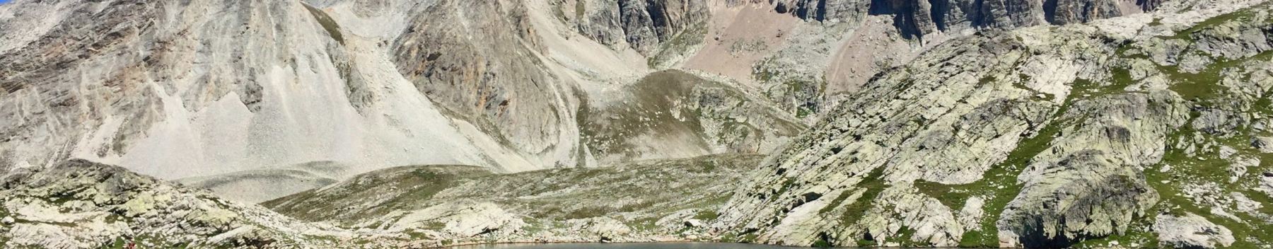 Controtendenza Banner Territori 3