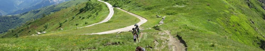 Controtendenza Banner Territori 6