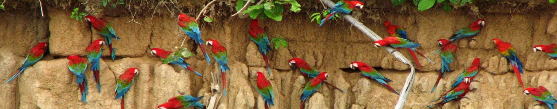 Controtendenza Banner Viaggi 15