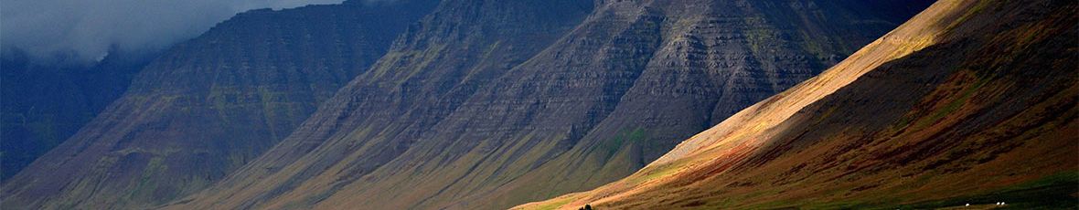 Controtendenza Banner Viaggi 17