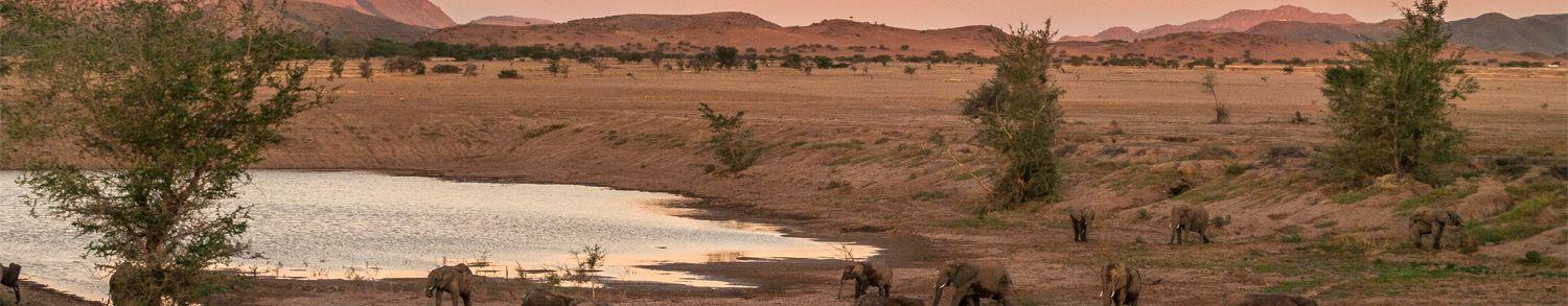 Controtendenza Banner Viaggi 29