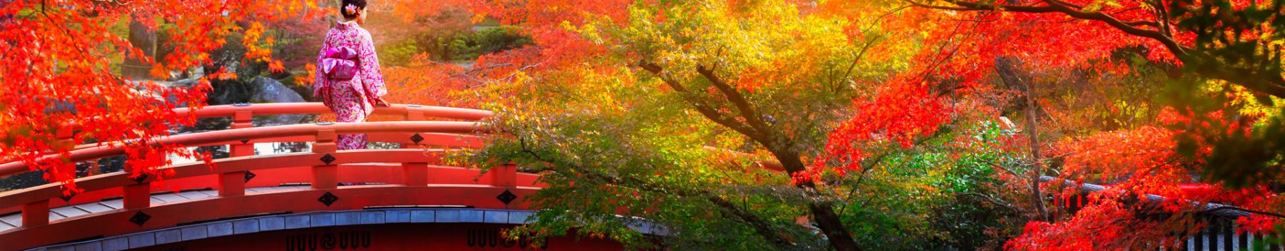 Controtendenza Banner Viaggi 38