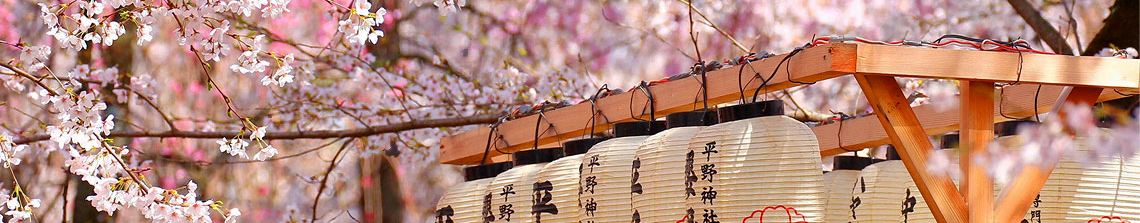 Controtendenza Banner Viaggi 40