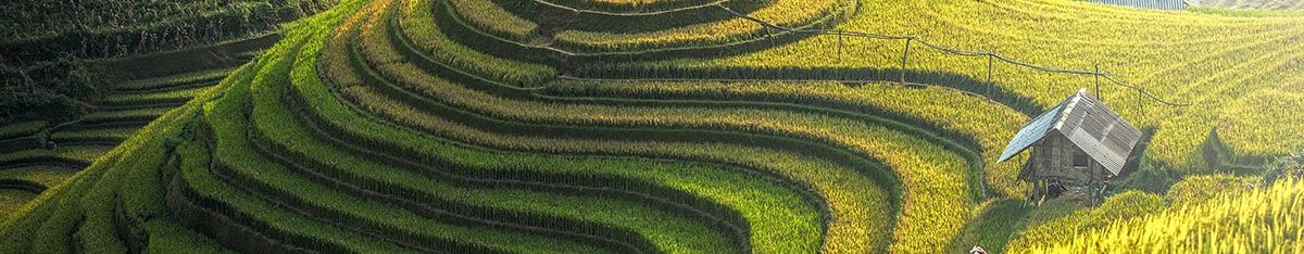 Controtendenza Banner Viaggi 42