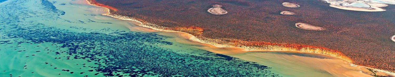 Controtendenza Banner Viaggi 45