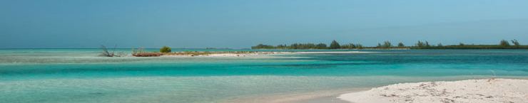 Controtendenza Banner Viaggi 5