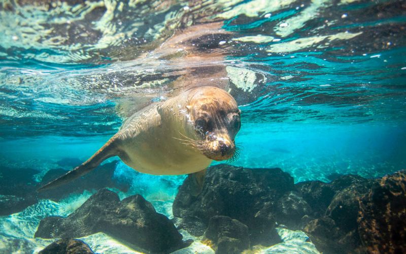 Controtendenza Viaggi 1