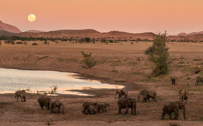 Controtendenza Viaggi 29