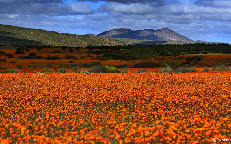 Controtendenza Viaggi 30