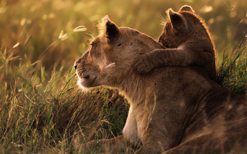 Controtendenza Viaggi 35