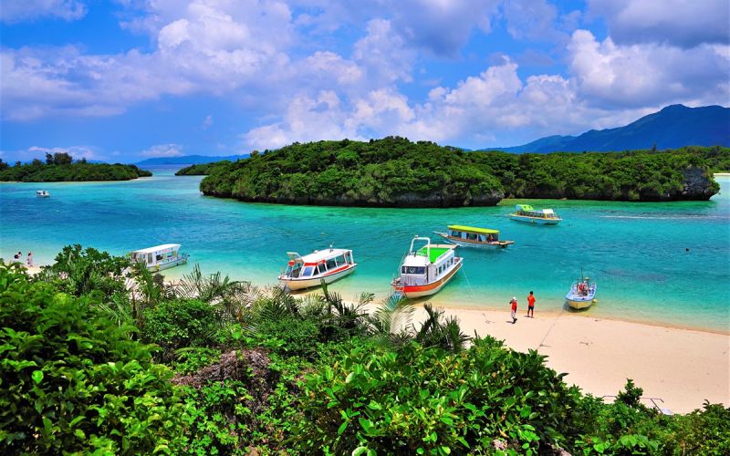 Controtendenza Viaggi 41