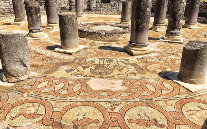 Controtendenza Viaggi 6